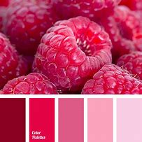 Image result for Candy Color Scheme