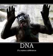 Image result for DNA Results Meme