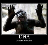 Image result for DNA Results Meme