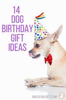 Image result for Dog Birthday Gift Ideas