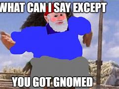 Image result for You Got Gnomed