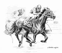 Image result for Thoroughbred Running