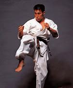 Image result for Kyokushin Fighter