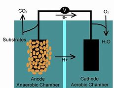 Image result for Microbial Fuel Cell