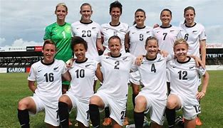 Image result for New Zealand FIFA World Cup