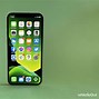 Image result for iPhone 12 Mini Camera Samples