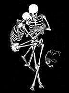 Image result for Skeletons On the Moon