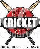 Image result for Cricket Auction Poster