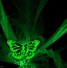 Image result for Cool Neon Butterfly