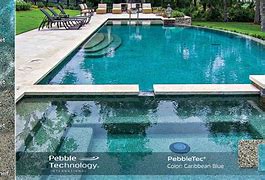 Image result for Best Pebble Tec Color