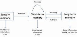 Image result for Memory Model