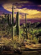 Image result for Sacred Sites in Arizona