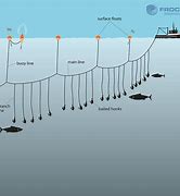 Image result for Hook and Line Fishing