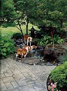 Image result for Dog Playground Ideas