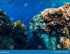 Image result for Underwater Ocean Rocks