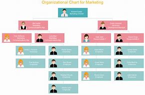 Image result for Vertical Organization Chart