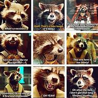 Image result for Guardians of the Galaxy Rocket Raccoon Quotes