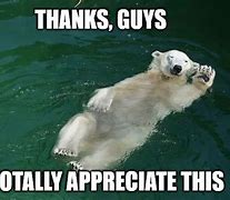 Image result for Thanks Everybody for Your Support Meme