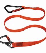 Image result for Picture Safety Securement Lanyard