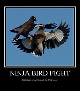 Image result for Ninja vs Invisible Man Funny