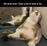 Image result for Funny Tired Work Memes