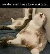Image result for Exhausted Work Meme Funny