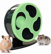 Image result for Hamster Cage Accessories