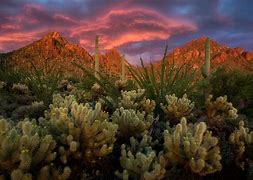 Image result for Tucson Mountains