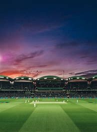 Image result for Cricket Match Background