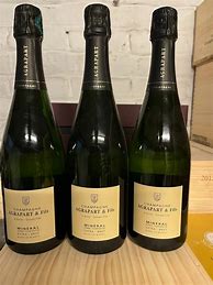 Image result for Agrapart Champagne Mineral Blanc Blancs Extra Brut