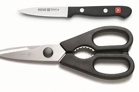 Image result for Kitchen Shears Knife