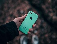 Image result for iPhone 5C Camrea Samples