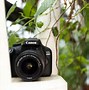 Image result for Canon Cameras