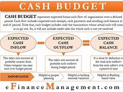 Image result for Cash Budget 2020