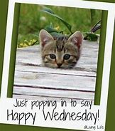 Image result for Have a Good Wednesday Funny