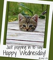 Image result for Images of Good Morning Wednesday Humor