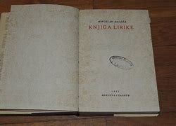Image result for Knjiga Skica
