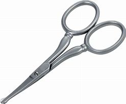 Image result for Equinox Professional Shears