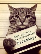 Image result for Happy Birthday Cat Quotes