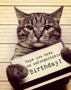 Image result for Cat Birthday Memes for Women