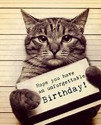 Image result for Happy Birthday Meme Cartoon Cat