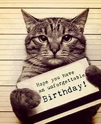 Image result for Woman Yelling at Cat Meme Happy Birthday Card