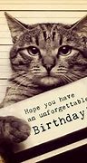 Image result for Happy Birthday for Cat Lovers
