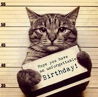 Image result for Free Funny Cat Birthday Image