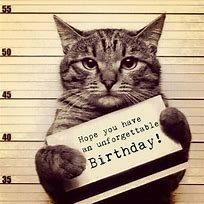 Image result for Kitty Cat Says Happy Birthday