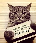 Image result for Happy Birthday Cat Derp Funny