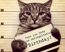 Image result for Happy Birthday to Cat Lover