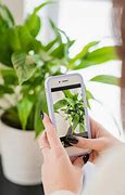 Image result for Apple iPhone Apps for House Plants