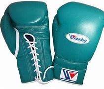 Image result for Giant Boxing Gloves
