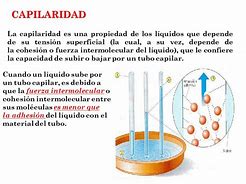 Image result for capiralidad